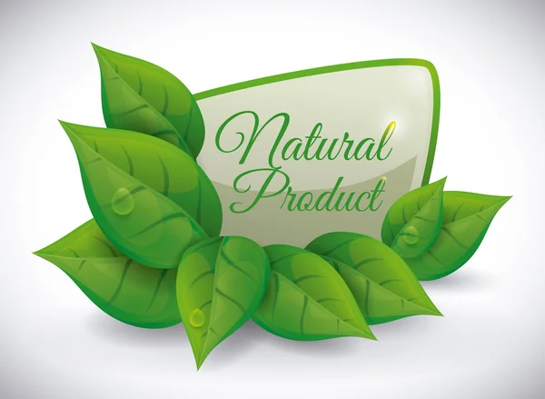 Design natürlicher Produkte. — Stockvektor