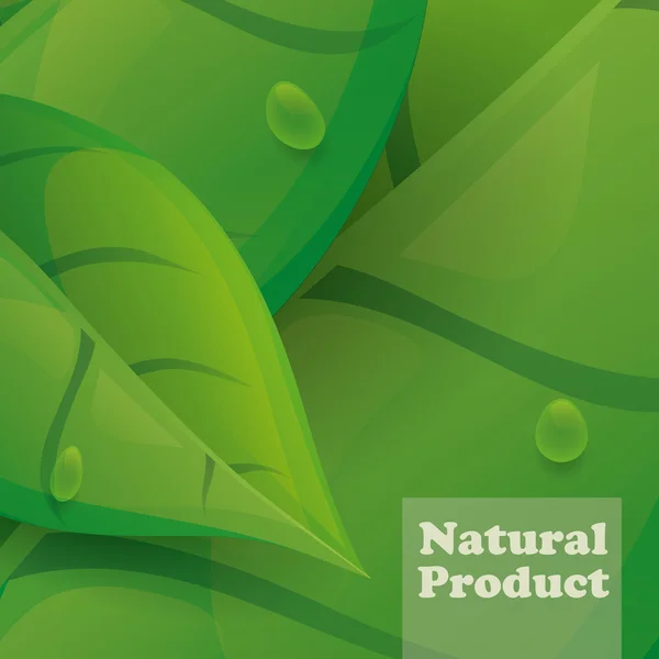 Design natürlicher Produkte. — Stockvektor