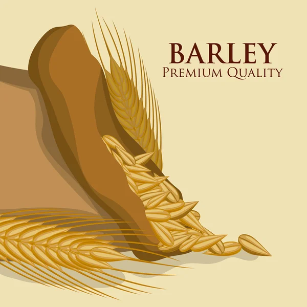 Barley Icons — Stock Vector