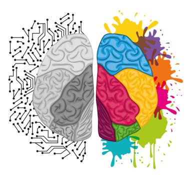 İnsan beyni tasarımı.