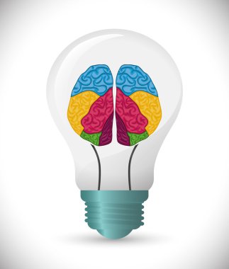 İnsan beyni tasarımı.