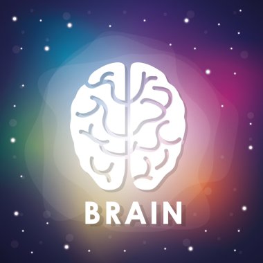 İnsan beyni tasarımı.