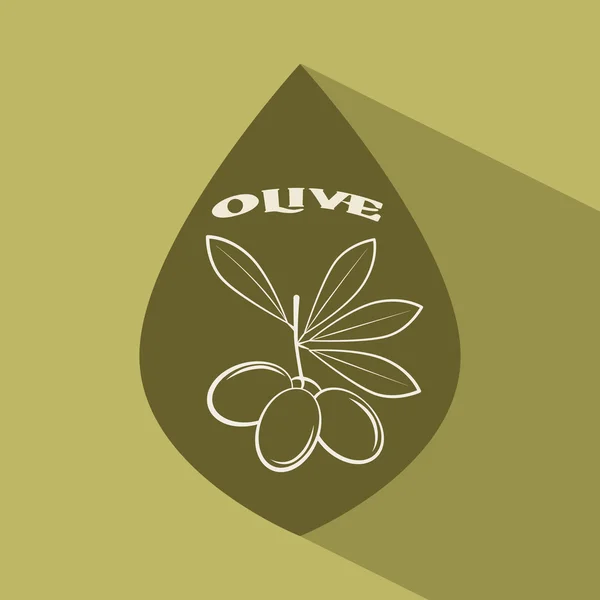 Olivenöl-Design — Stockvektor