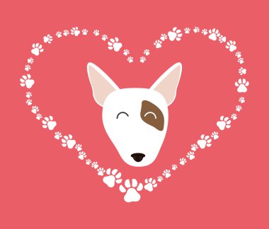 Evcil hayvan vektör