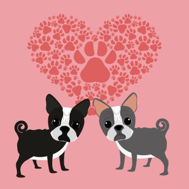 Evcil hayvan vektör