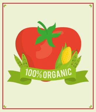 vegan gıda tasarım 