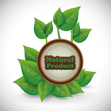 doğal ürün tasarımı 