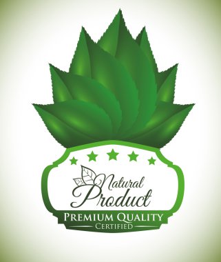 doğal ürün tasarımı 