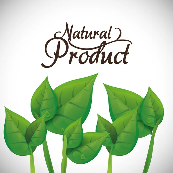 Conception de produits naturels — Image vectorielle