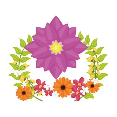 Renk çiçek izole arka plan üzerinde