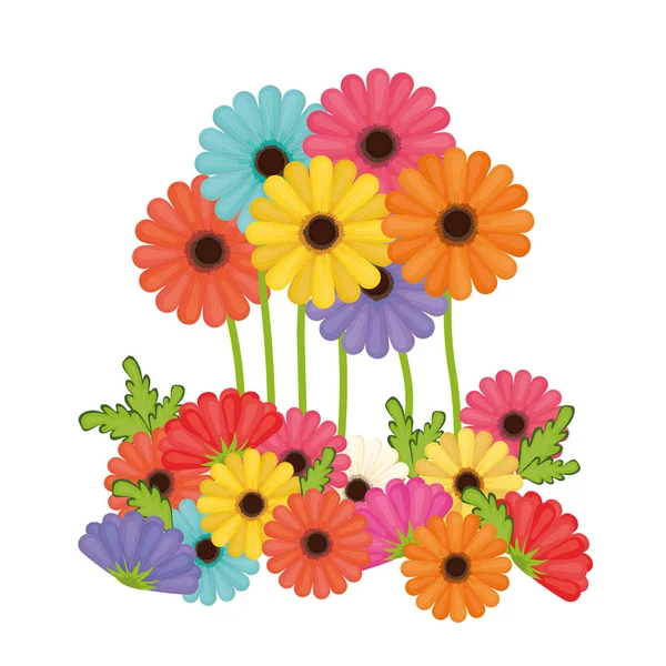 Kleuren bloem over geïsoleerde achtergrond — Stockvector