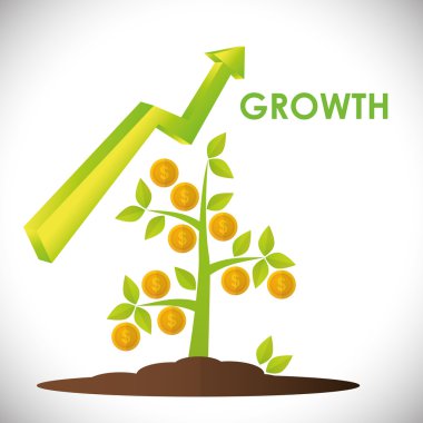 Finansal büyüme tasarım