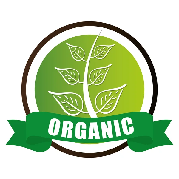 Organické přírodní potraviny popisek — Stockový vektor