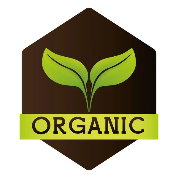 Етикетка органічної натуральної їжі — стоковий вектор