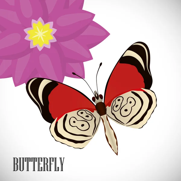 Diseño de mariposa — Vector de stock