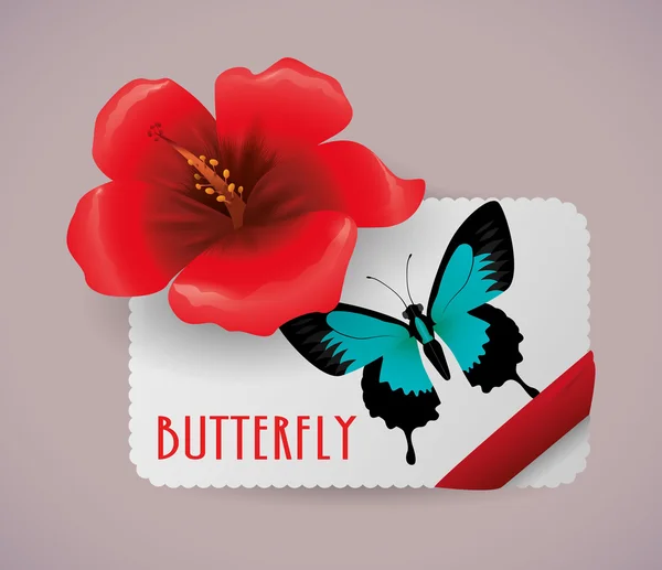 Design papillon — Image vectorielle