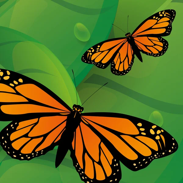Метелик дизайн — стоковий вектор