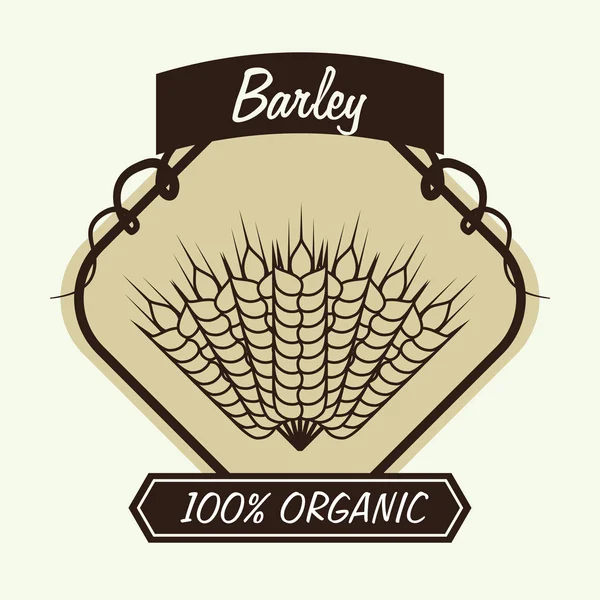 Barley design — Stock Vector