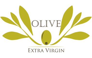 Zeytin yağı tasarımı 