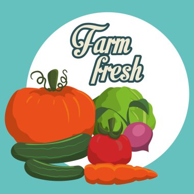 çiftlik konsept tasarımı