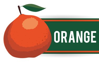 sağlıklı gıda tasarımı