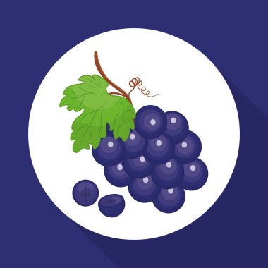 sağlıklı gıda tasarımı