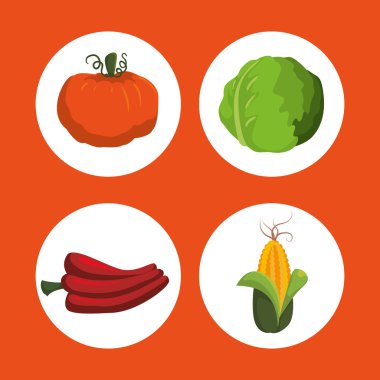 sağlıklı gıda tasarımı