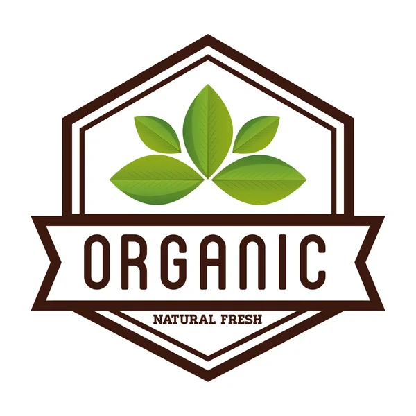 Doğal ve organik — Stok Vektör