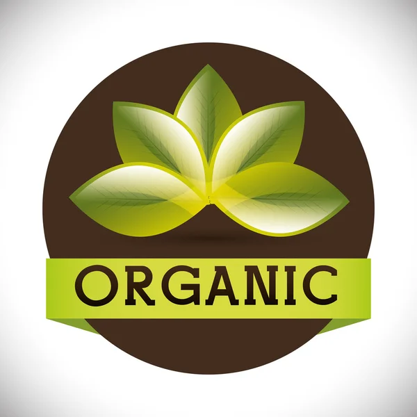 Natural y orgánico — Vector de stock