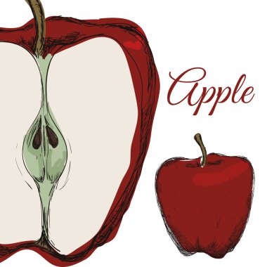 Meyve simgesi tasarım