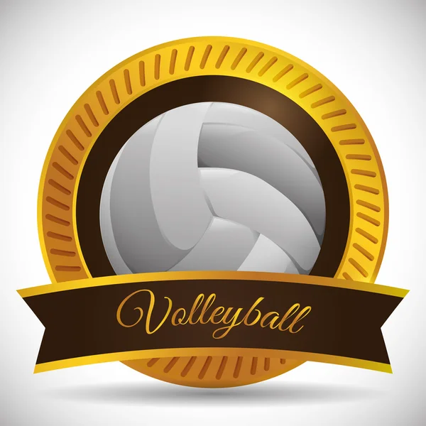 Volleybal pictogram ontwerp — Stockvector