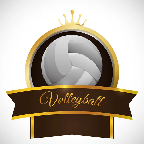 Conception icône de volley-ball — Image vectorielle