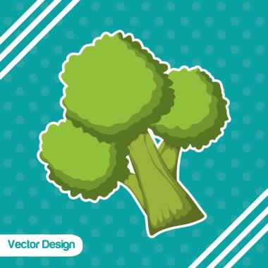 Organik ürün tasarımı