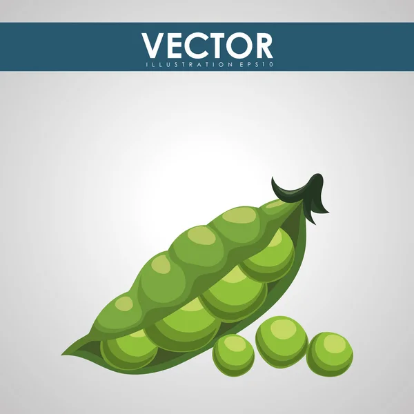 Conception de produits biologiques — Image vectorielle