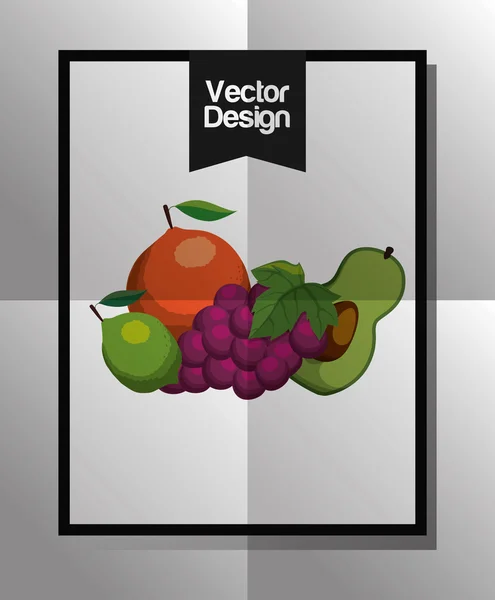 Organic product design — Stock Vector