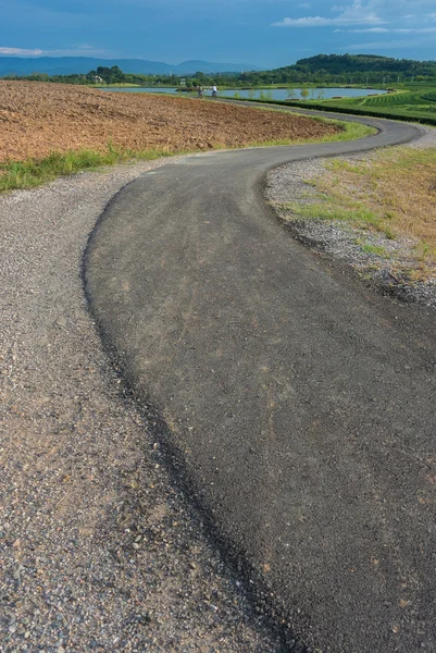 Bisiklet yolu park çevresinde — Stok fotoğraf