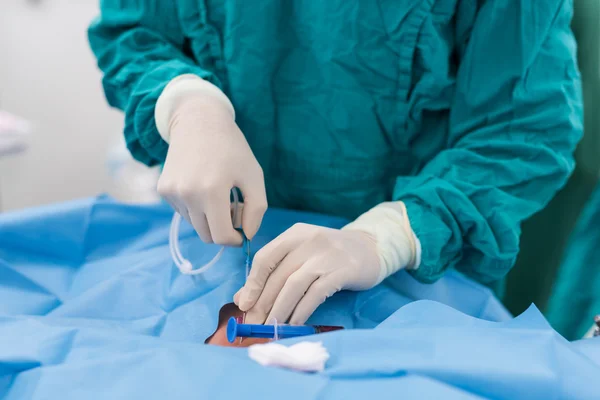 Doktor Uygulama Kılavuzu için iç karotis damarı