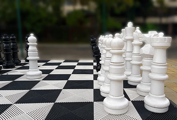 Большие Шахматы Разряженном Фоне Черная Пешка Ряд Белых Фигур — стоковое фото