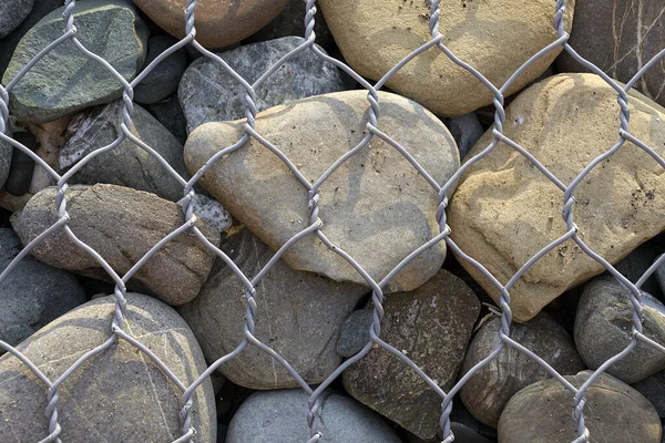 wall of sea stones in a grid