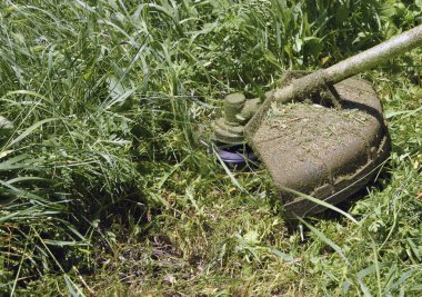 Ot ve çim biçerken mekanik bir budayıcının çalışması, makaranın odak dışı hareket etmesi