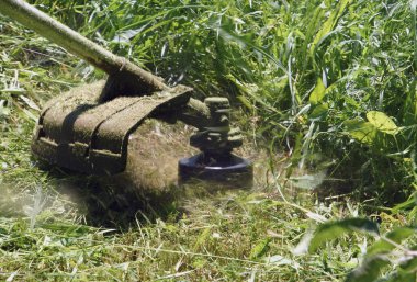 Çim ve otları mekanik bir budayıcı ile biçmek, odak dışı dönüş