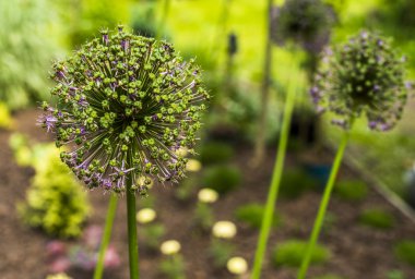 çiçek desenli yay.