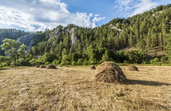 Haystacks en las montañas . — Foto de Stock