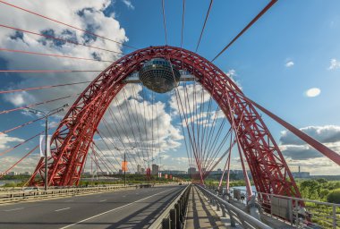 Gümüş orman pitoresk Bridge'de.