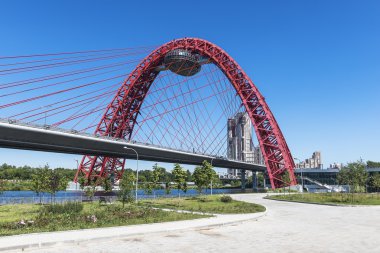 Gümüş orman pitoresk Bridge'de.