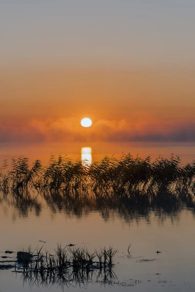 Salida del sol sobre el lago en el verano . — Foto de Stock