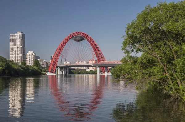 Puente escénico en el bosque de plata . — Foto de Stock