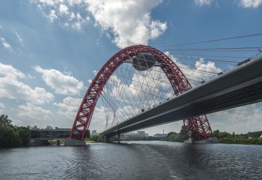 Gümüş orman pitoresk Bridge'de.