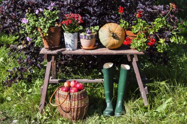 Autumn harvest. Vegetables on the bench clipart