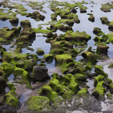 Dağları manzaraları, kıyı şeridi